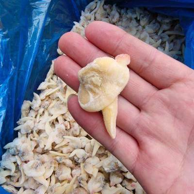 連云港農(nóng)產(chǎn)品市場(chǎng) 供應(yīng)、價(jià)格與網(wǎng)上交易平臺(tái)全景分析